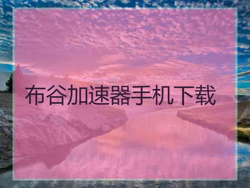 布谷加速器手机下载