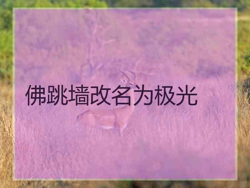 佛跳墙改名为极光