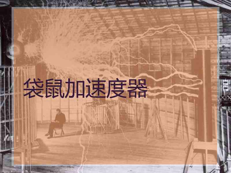 袋鼠加速度器