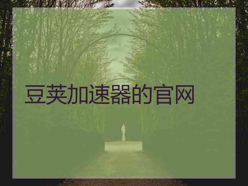豆荚加速器的官网