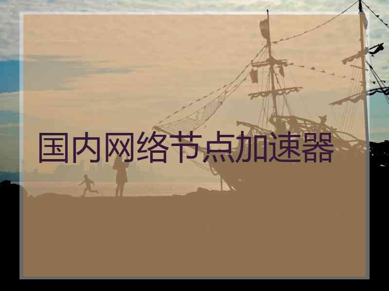 国内网络节点加速器