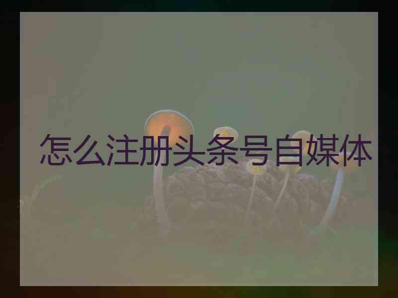 怎么注册头条号自媒体