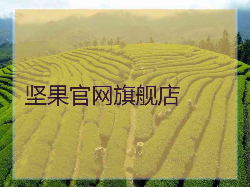 坚果官网旗舰店