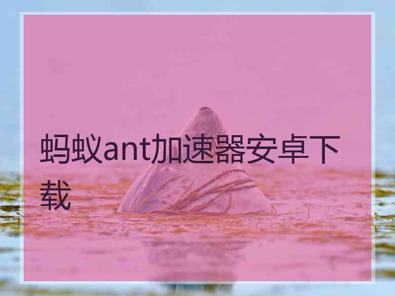蚂蚁ant加速器安卓下载