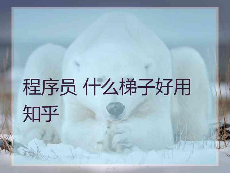 程序员 什么梯子好用 知乎