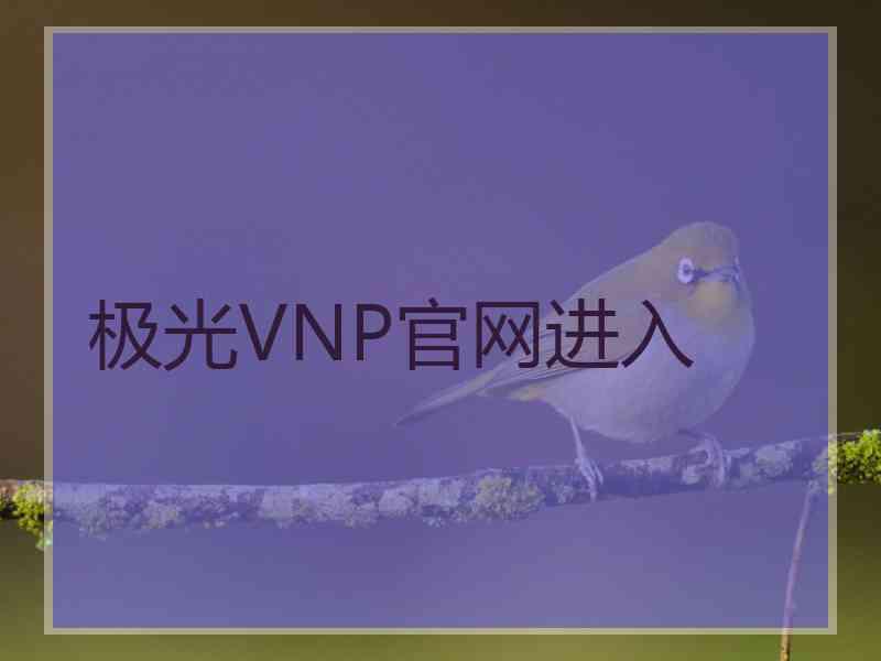 极光VNP官网进入