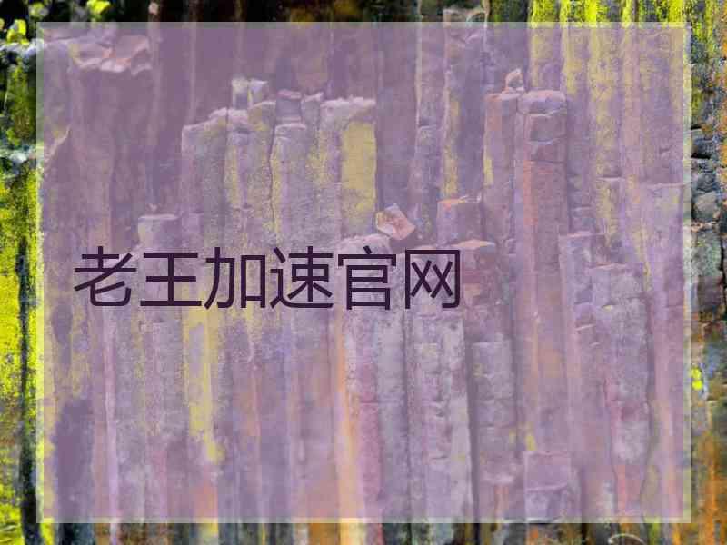 老王加速官网