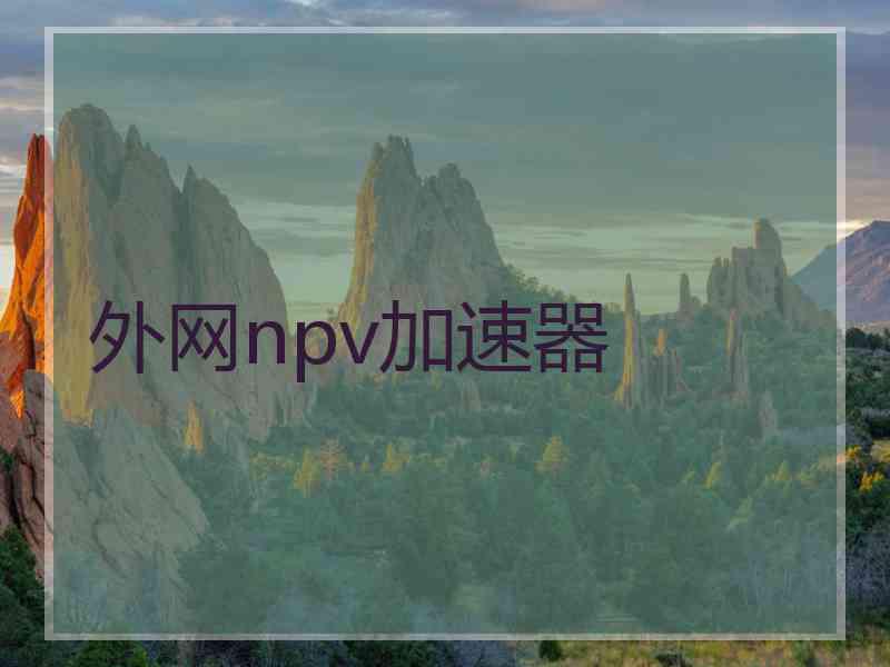 外网npv加速器