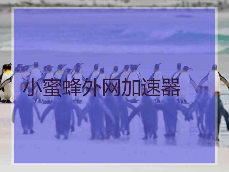 小蜜蜂外网加速器