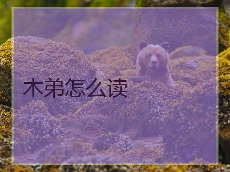 木弟怎么读