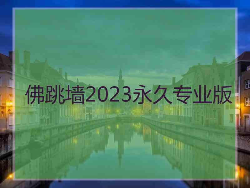 佛跳墙2023永久专业版