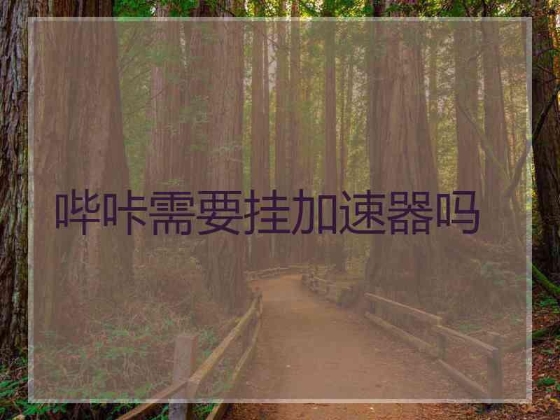 哔咔需要挂加速器吗