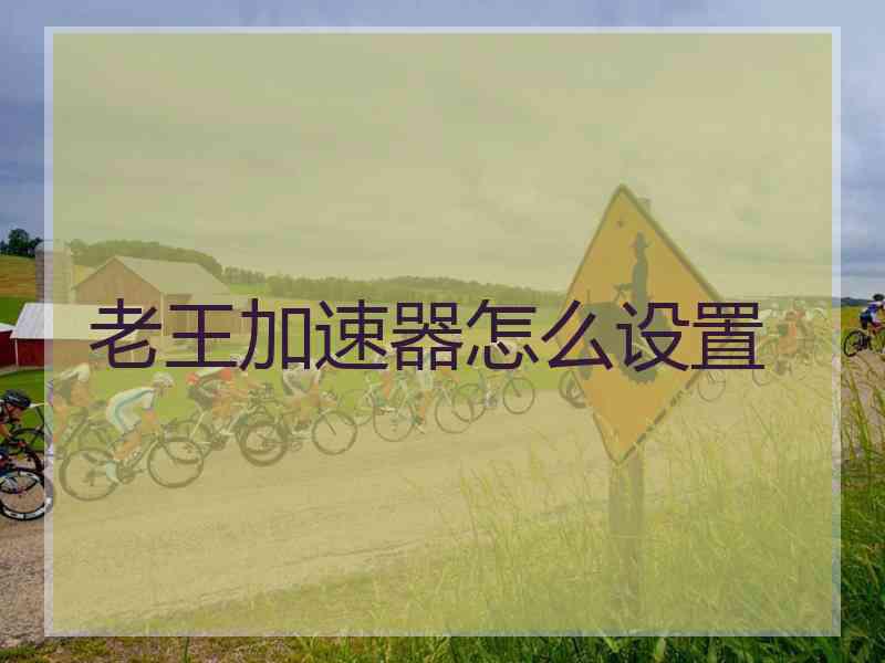 老王加速器怎么设置