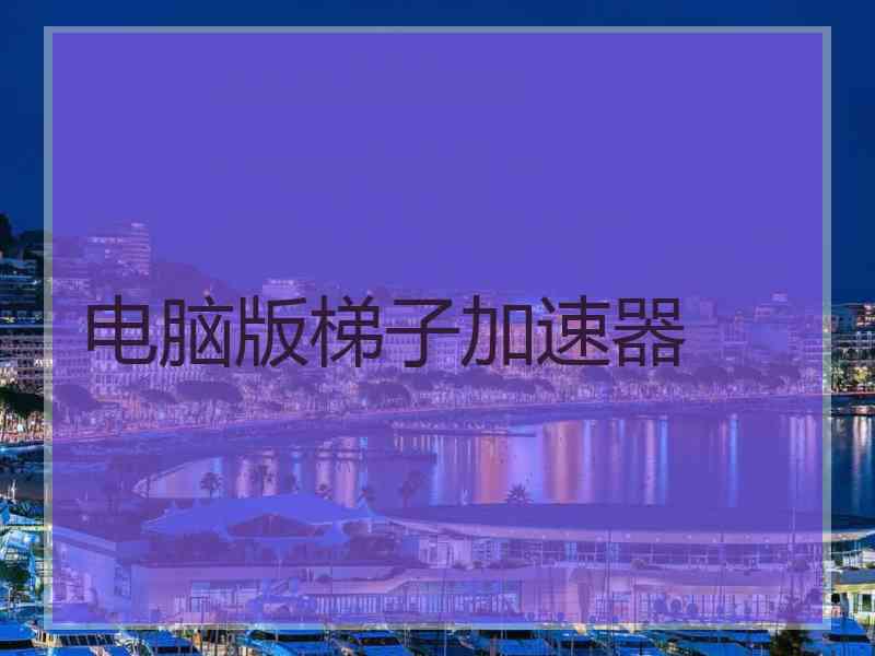 电脑版梯子加速器