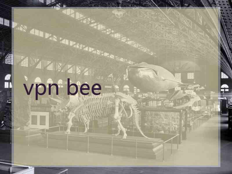 vpn bee