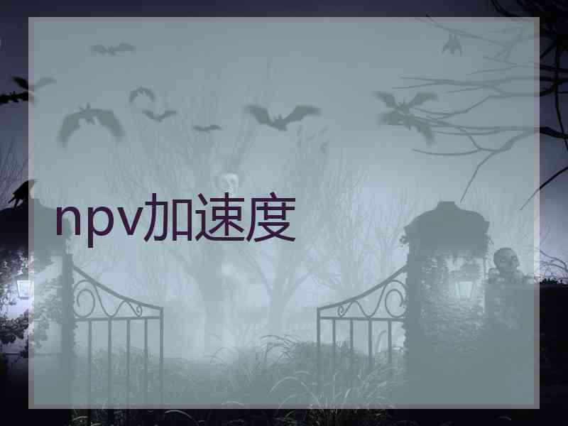npv加速度