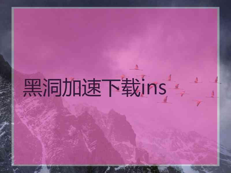 黑洞加速下载ins