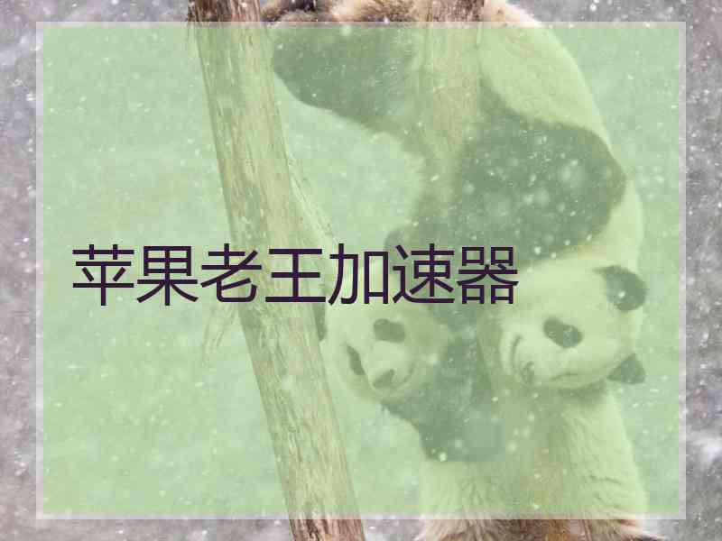 苹果老王加速器