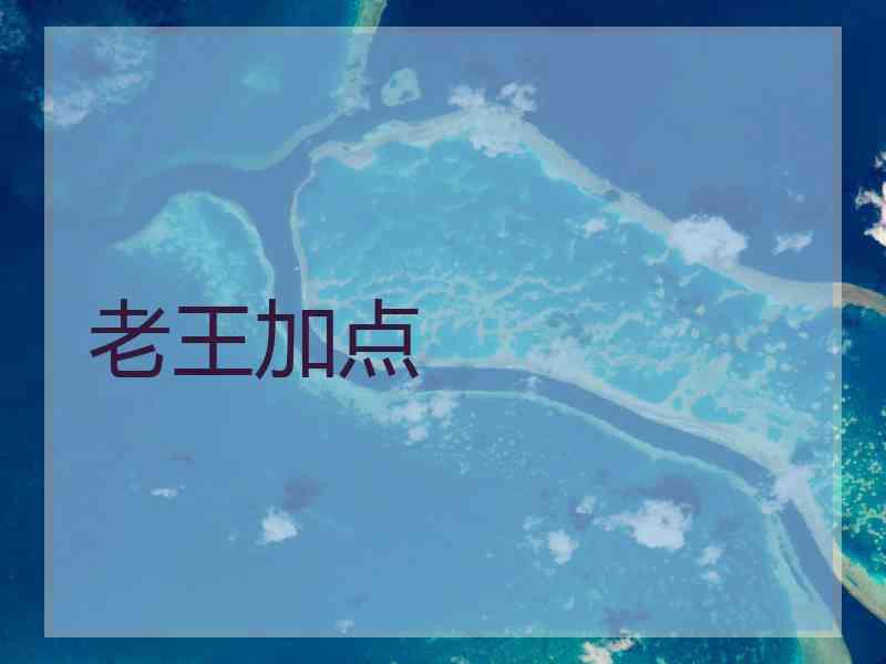 老王加点