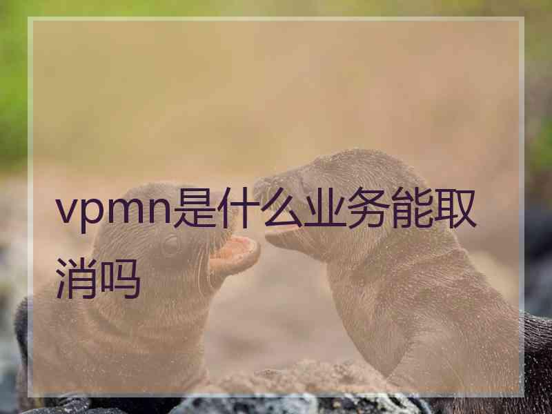 vpmn是什么业务能取消吗