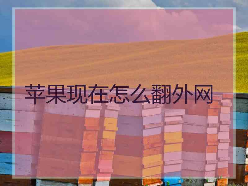 苹果现在怎么翻外网