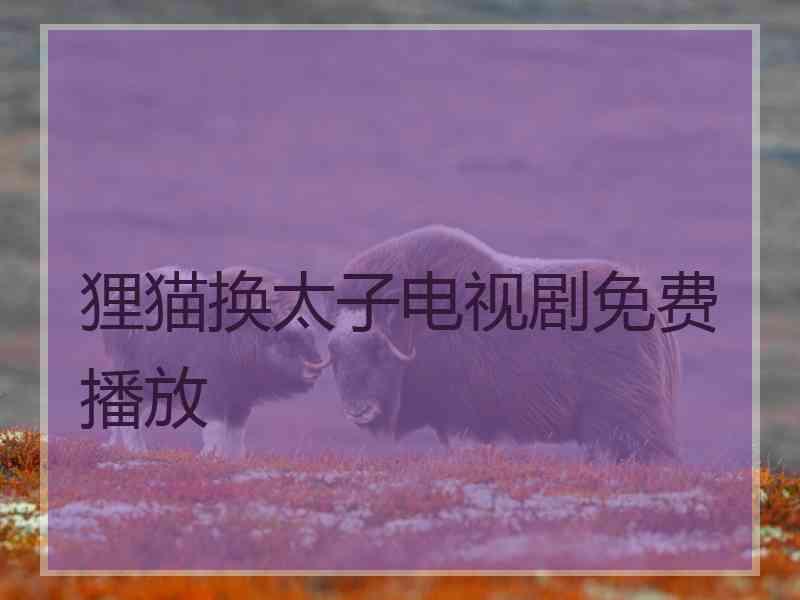 狸猫换太子电视剧免费播放