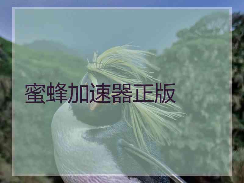 蜜蜂加速器正版