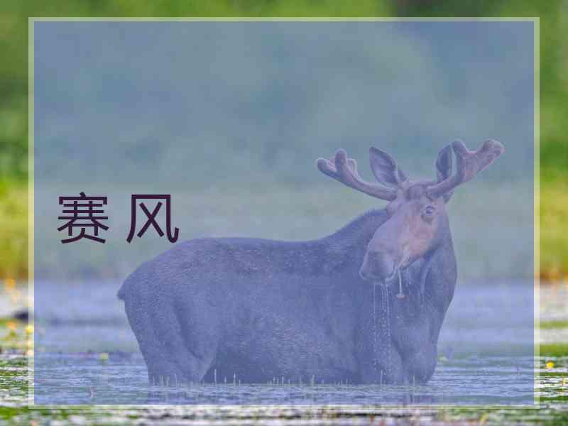 赛 风
