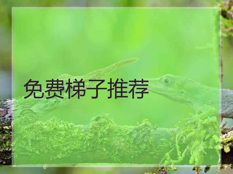 免费梯子推荐
