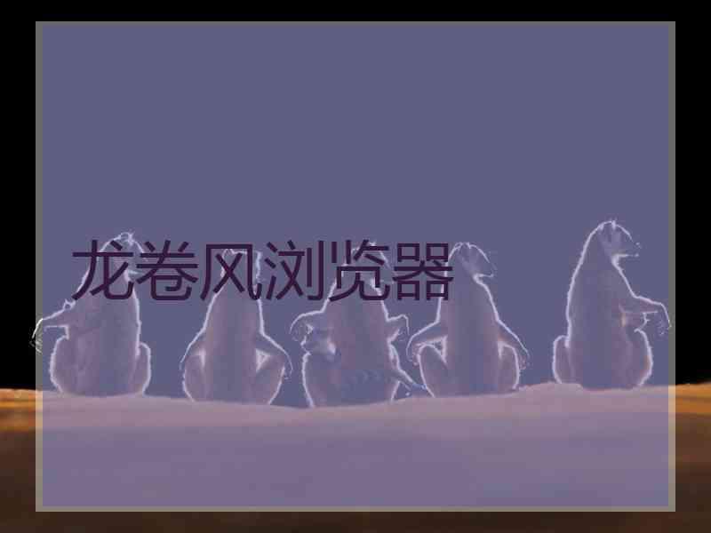 龙卷风浏览器