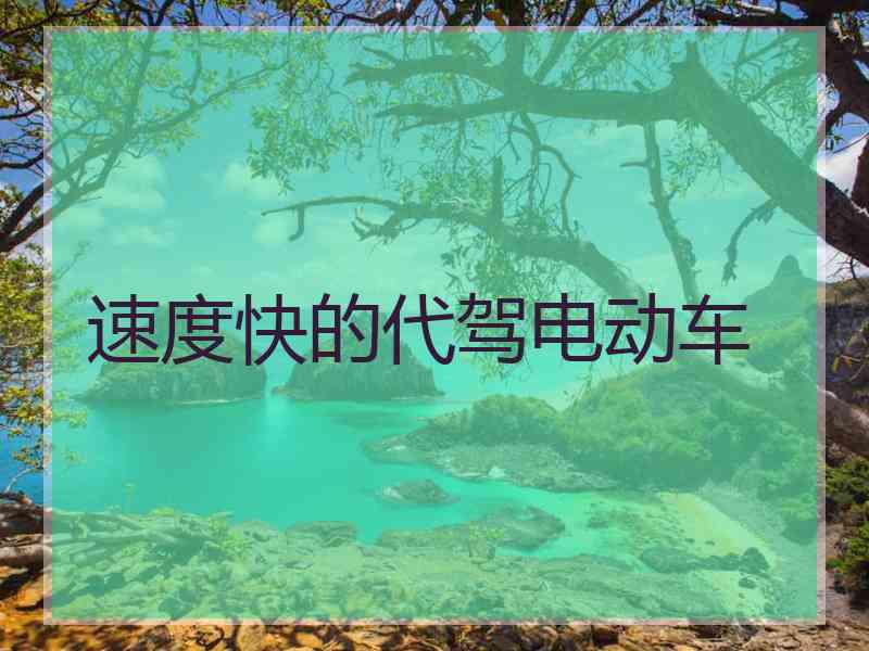 速度快的代驾电动车