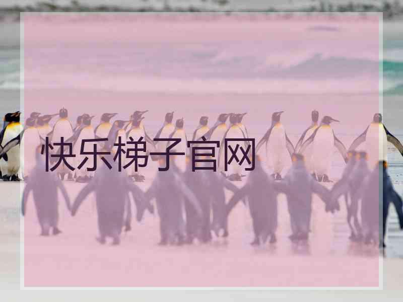 快乐梯子官网