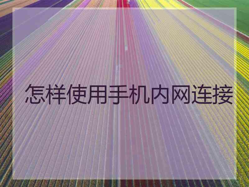 怎样使用手机内网连接