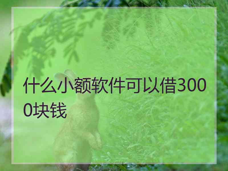 什么小额软件可以借3000块钱
