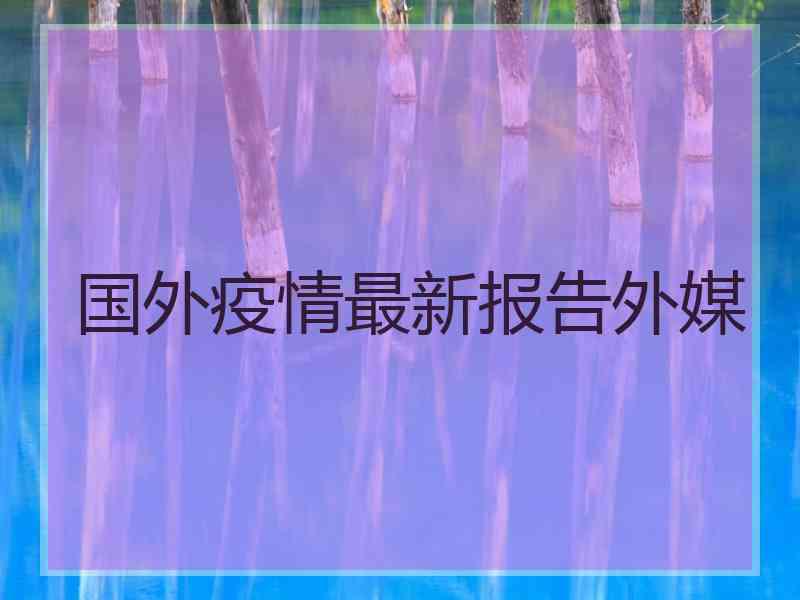 国外疫情最新报告外媒