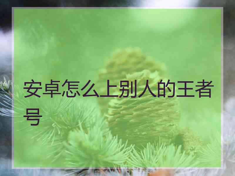 安卓怎么上别人的王者号