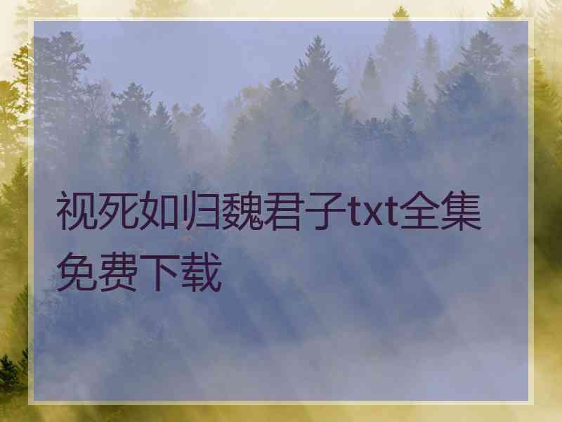 视死如归魏君子txt全集免费下载