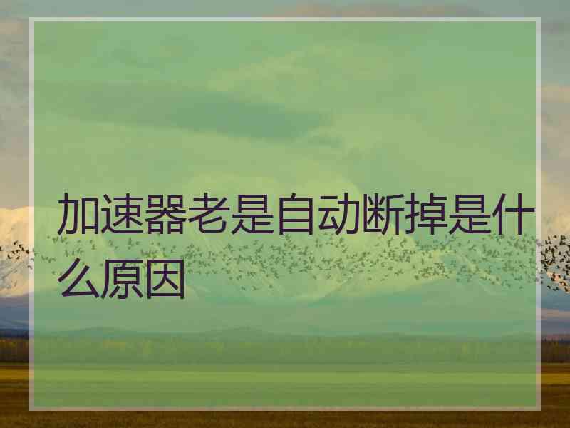 加速器老是自动断掉是什么原因