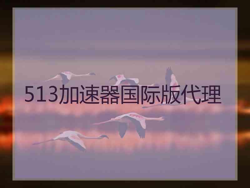 513加速器国际版代理