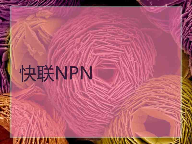 快联NPN