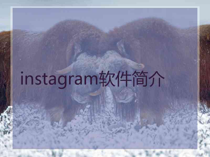 instagram软件简介
