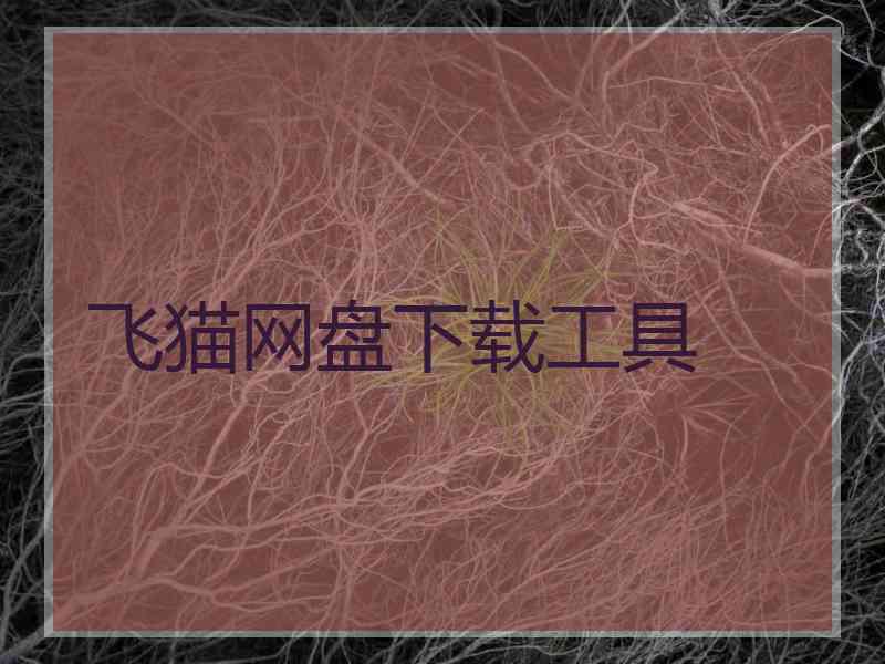 飞猫网盘下载工具