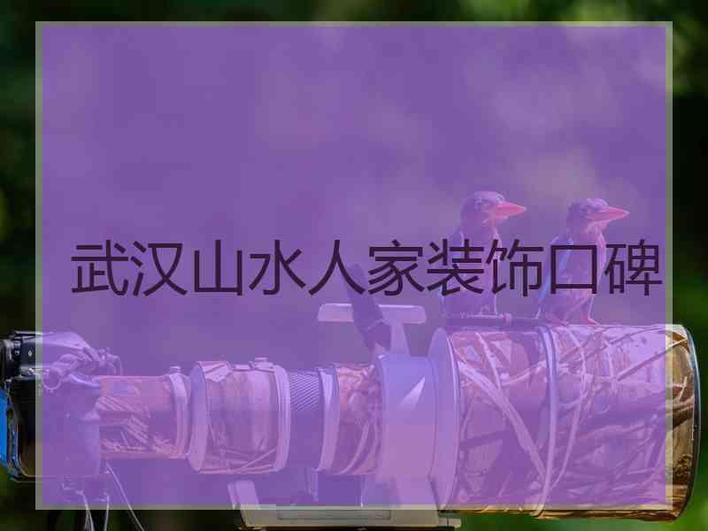 武汉山水人家装饰口碑