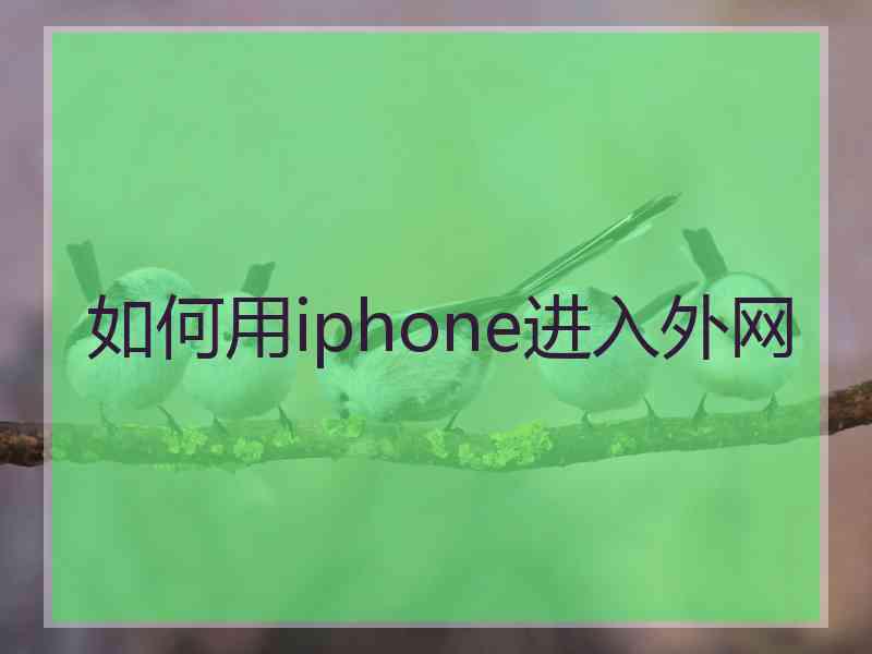 如何用iphone进入外网