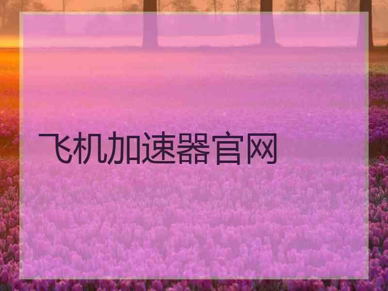 飞机加速器官网