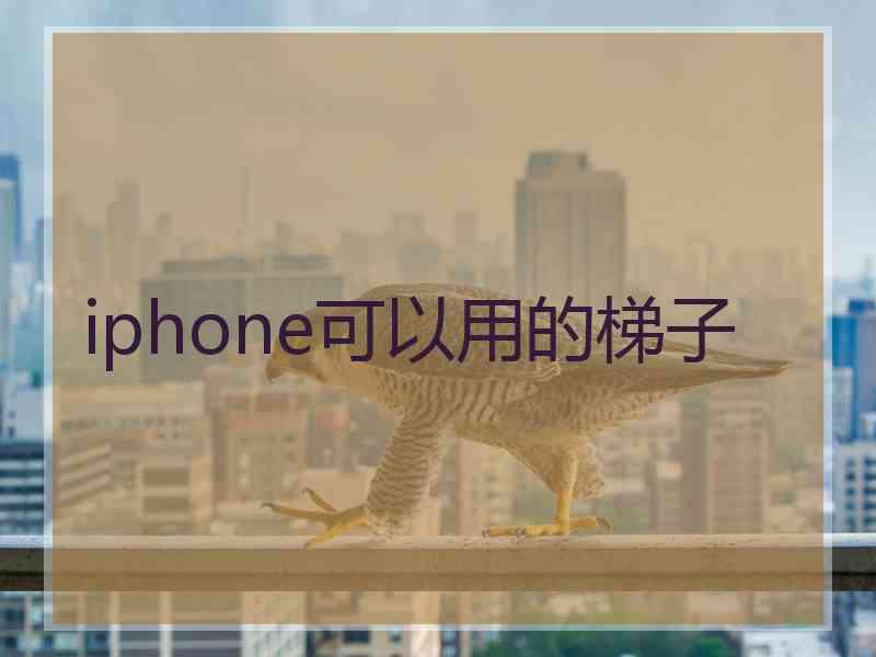 iphone可以用的梯子