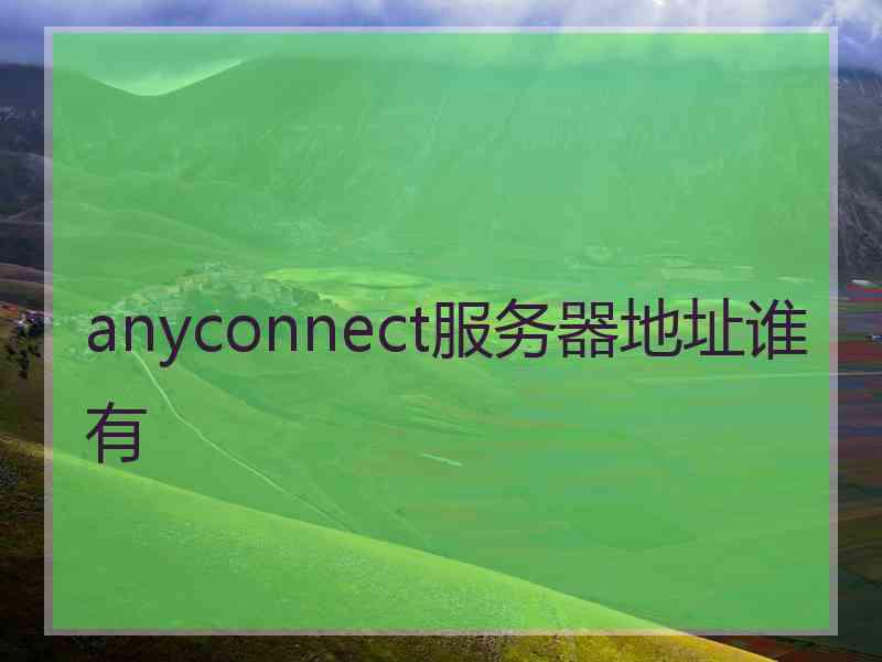 anyconnect服务器地址谁有