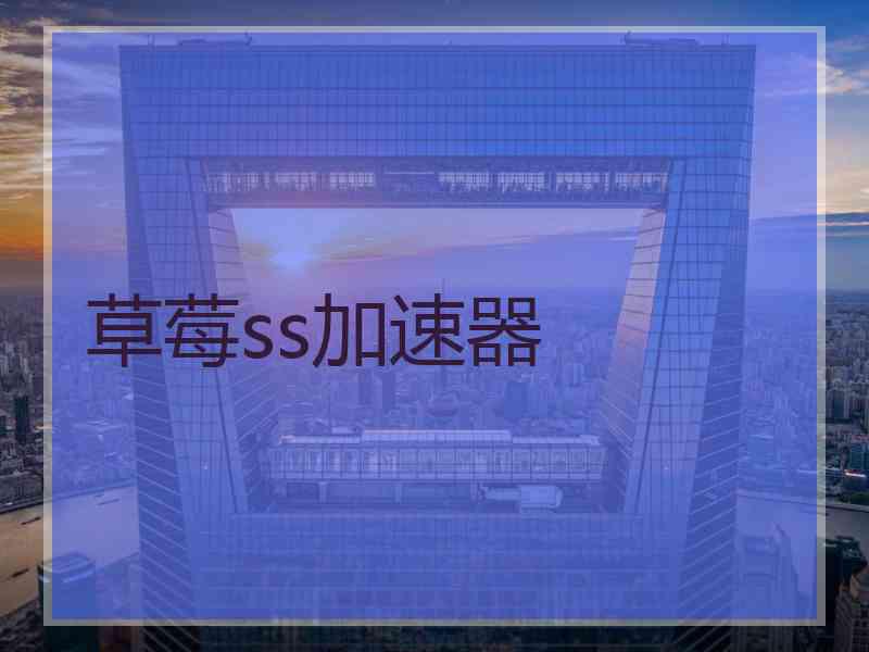 草莓ss加速器