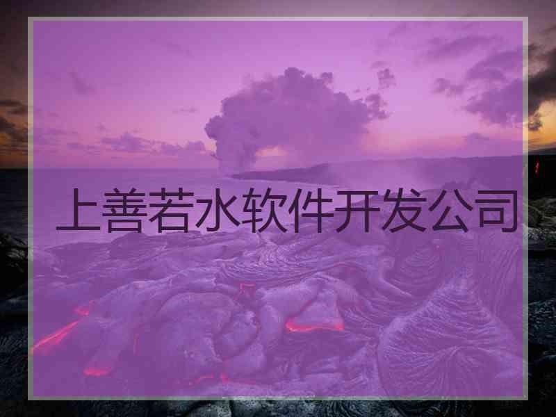 上善若水软件开发公司