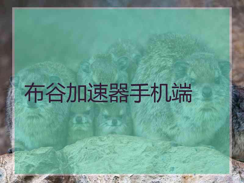 布谷加速器手机端